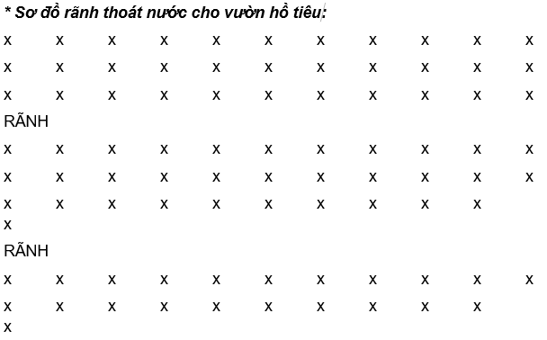 chăm sóc-bài 9- sơ đồ rãnh thoát nước_1625459535.png